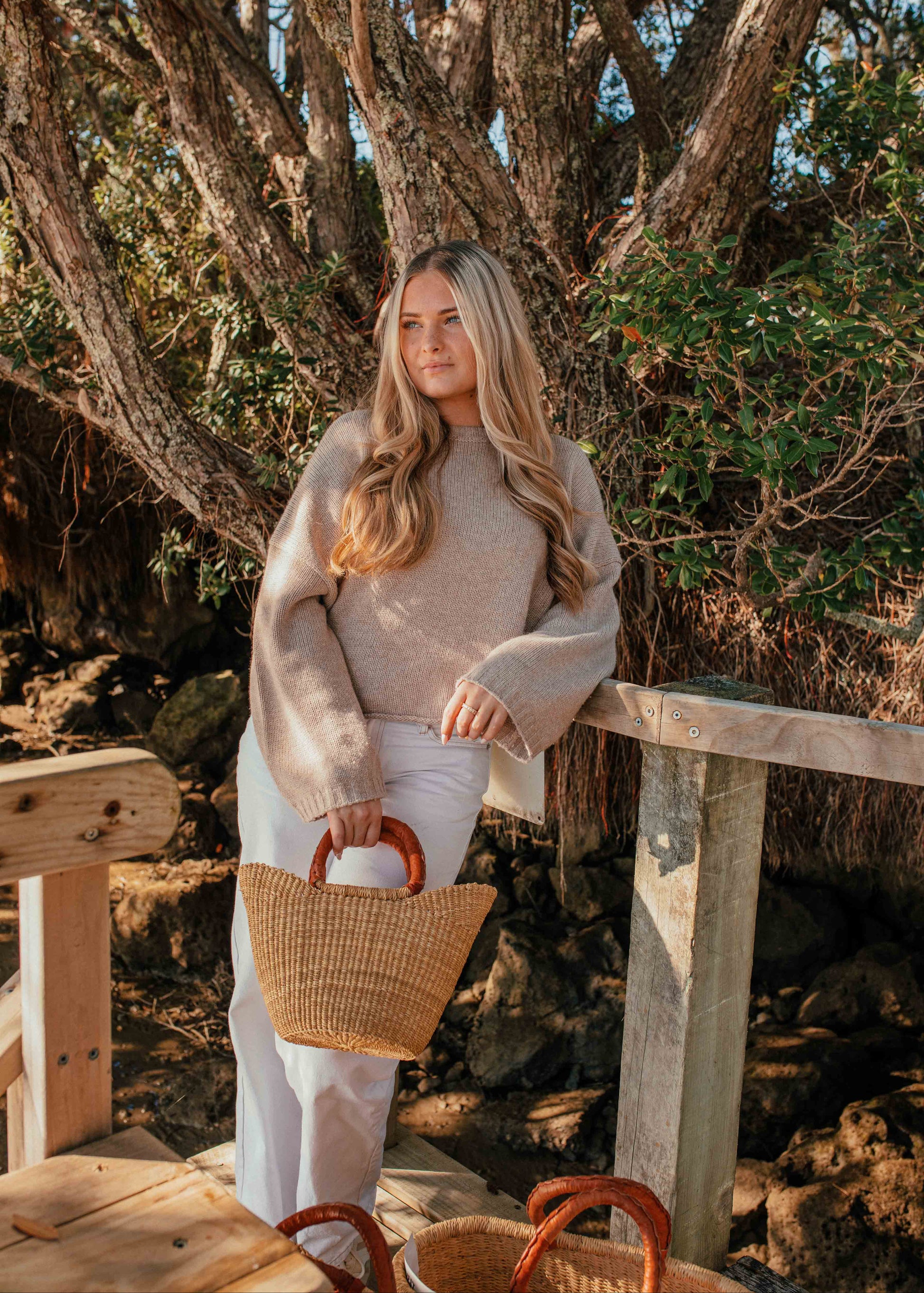 Stacy Curve Mini Tote